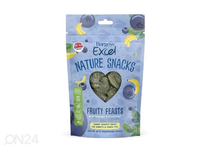 Pieneläimen makupala maius fruity feasts 60g kuvasuurennos