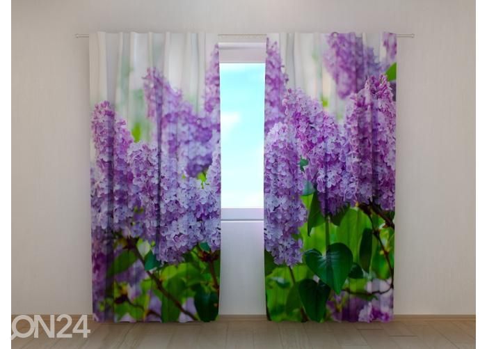 Pimennysverho Garden Lilac 240x220 cm kuvasuurennos
