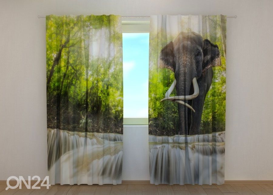 Pimennysverhot Big Elephant 240x220 cm kuvasuurennos