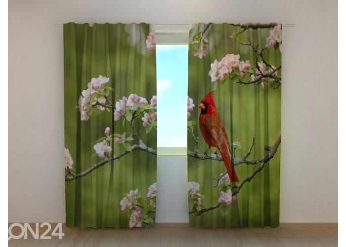 Pimennysverhot Bird Cardinal on a Spring Twig 240x220 cm kuvasuurennos