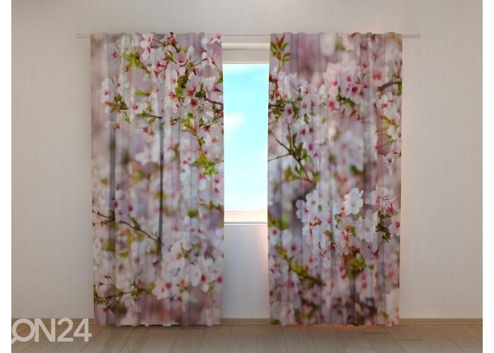 Pimennysverhot Cherry Tree Blossoms in Spring Cherry 240x220 cm kuvasuurennos
