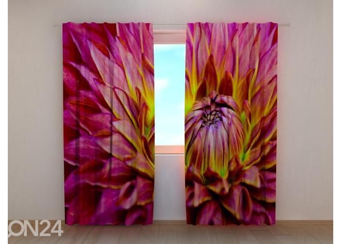 Pimennysverhot Delicate Dahlia Flower 240x220 cm kuvasuurennos