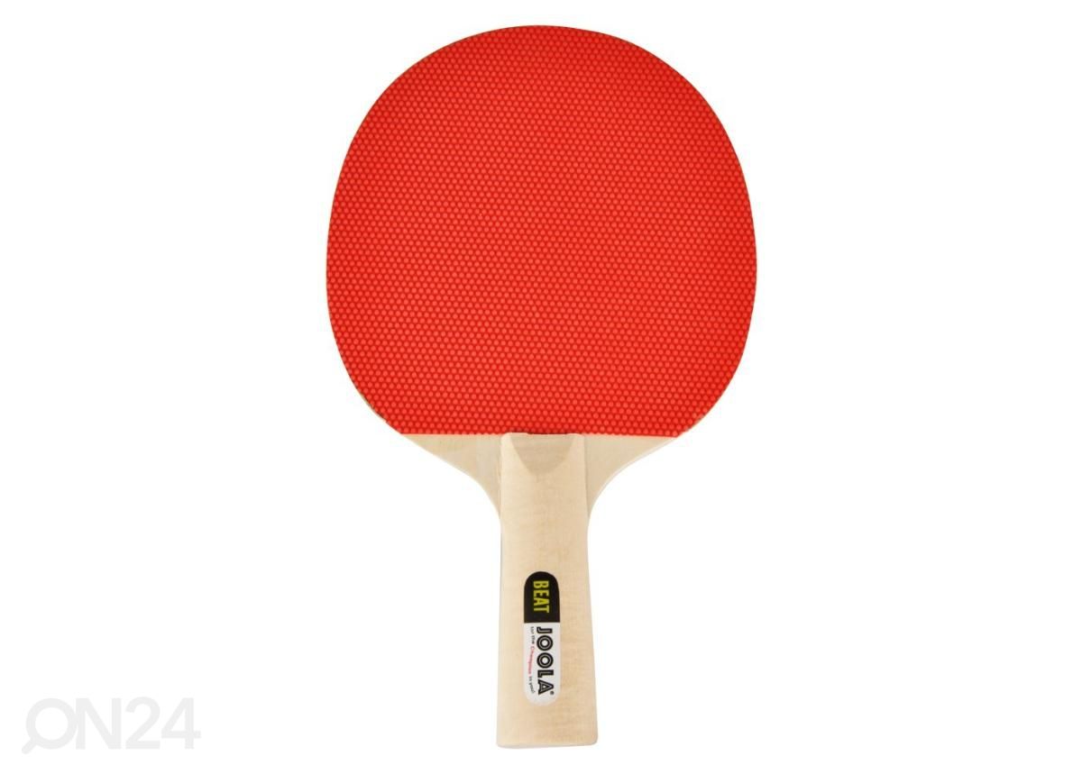 Pöytätennismaila Beat Joola kuvasuurennos