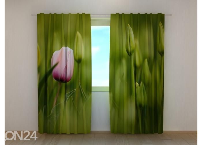 Puolipimentävä kuvaverho First Pink Tulip 240x220 cm kuvasuurennos