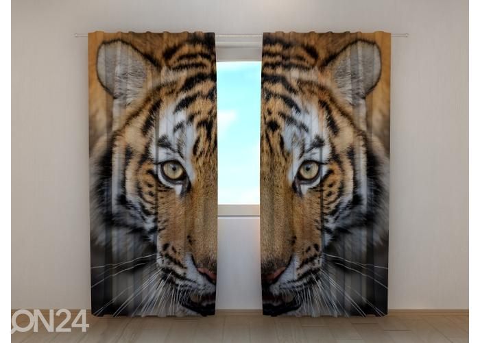 Puolipimentävä kuvaverho Siberian Tiger 240x220 cm kuvasuurennos