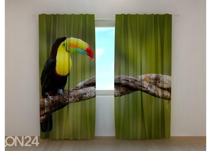 Puolipimentävä kuvaverho Toucan on the Branch 240x220 cm kuvasuurennos