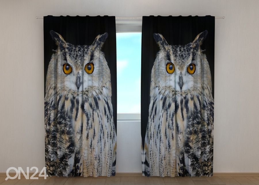 Puolipimentävä verho Attentive Owl kuvasuurennos
