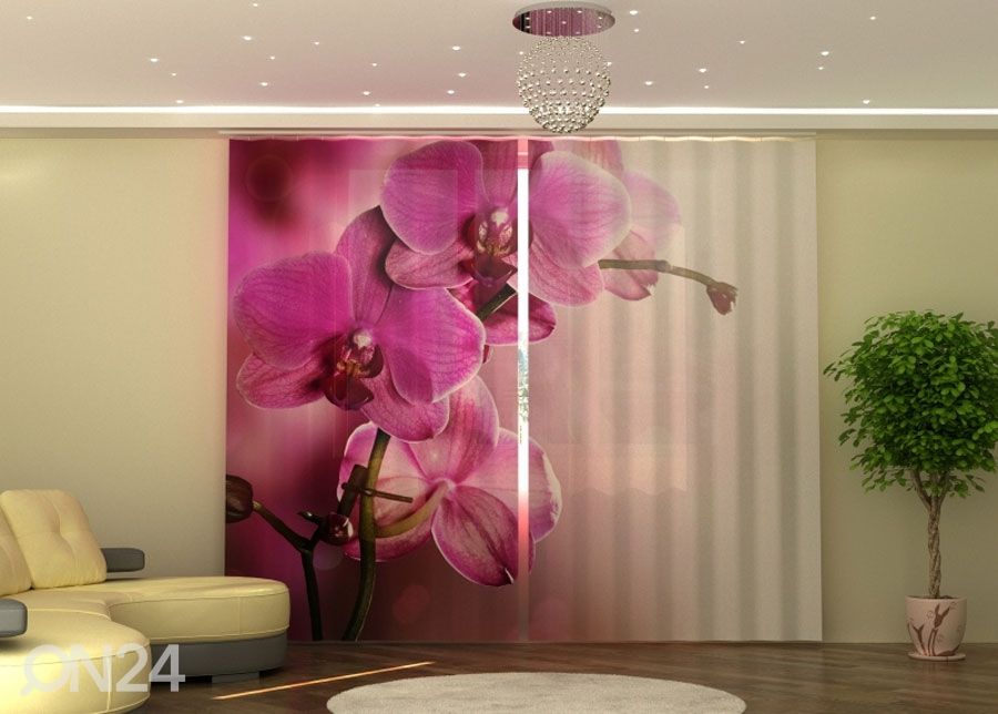 Puolipimentävä verho PURPLE ORCHID kuvasuurennos