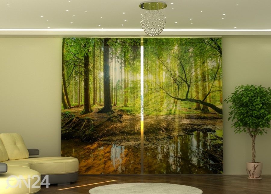 Puolipimentävä verho Sunbeams in the Forest 290x245 cm kuvasuurennos