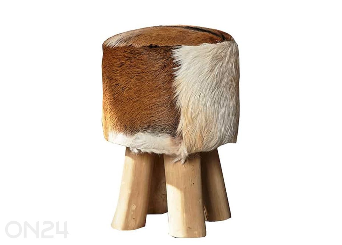 Rahi Hide kuvasuurennos