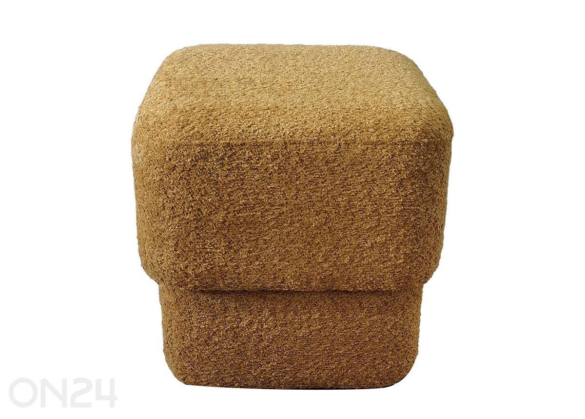 Rahi Laura kuvasuurennos