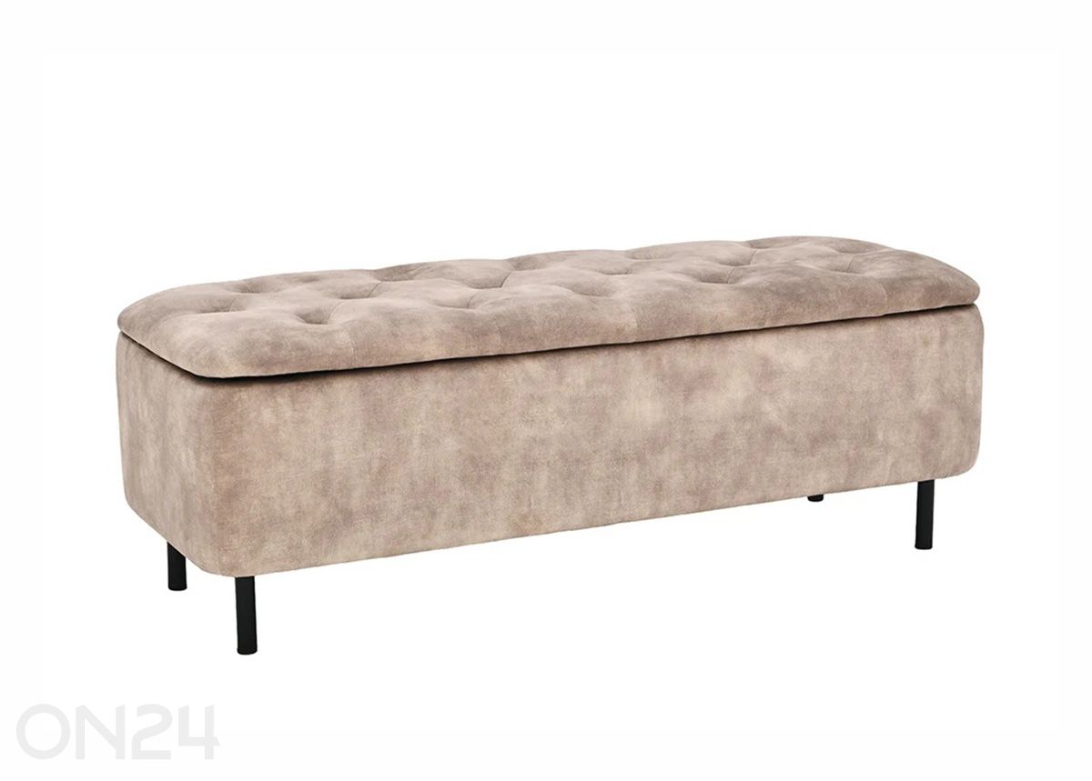 Rahi säilytystilalla En Vogue kuvasuurennos