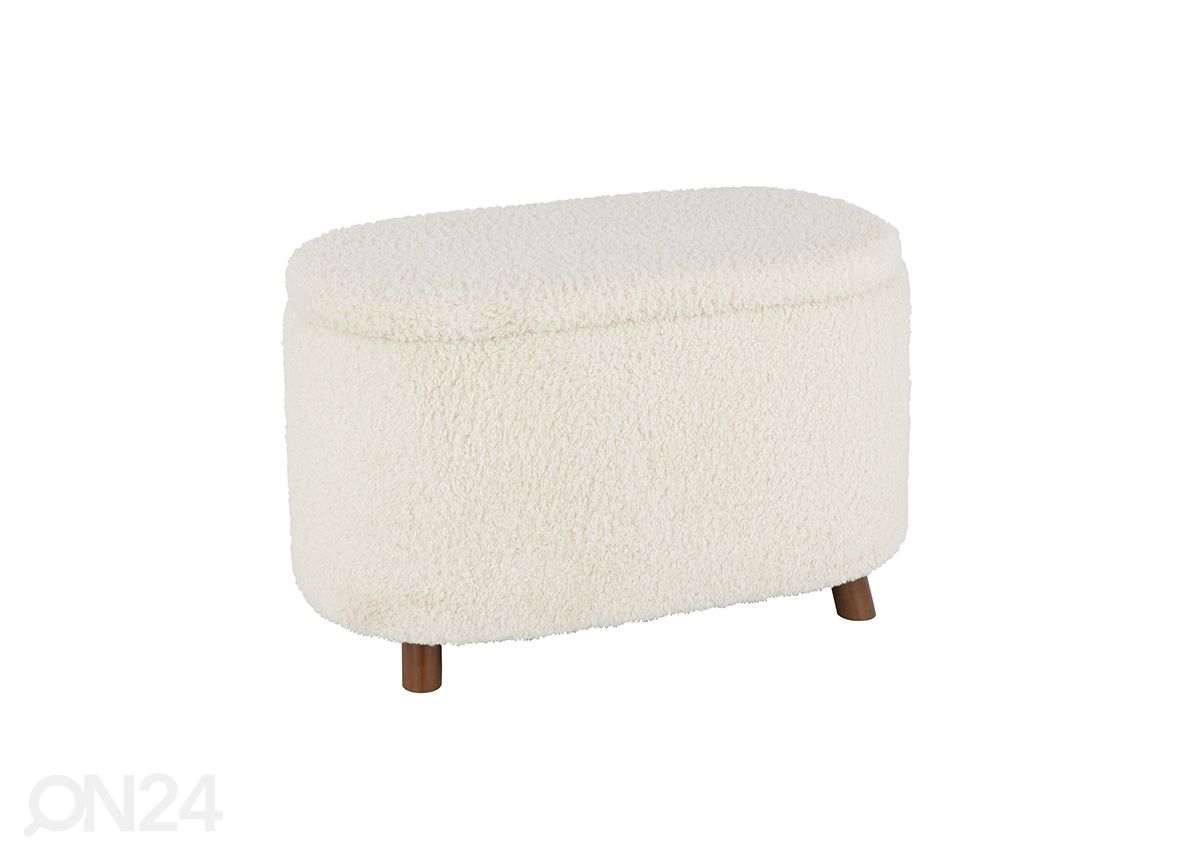 Rahi säilytystilalla Teddy kuvasuurennos