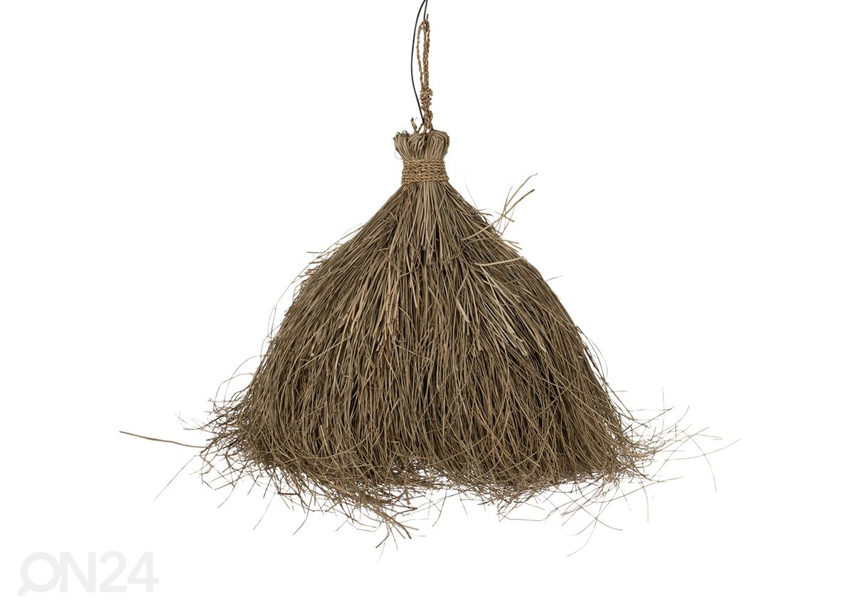 Riippuvalaisin Papua kuvasuurennos