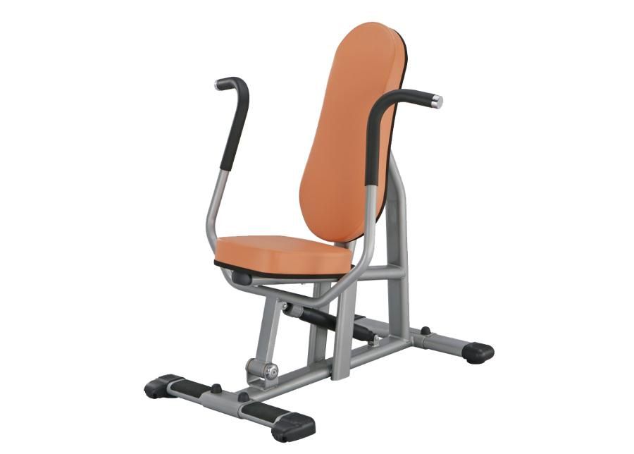 Rintalihaspenkki Machine CPB300 inSPORTline kuvasuurennos