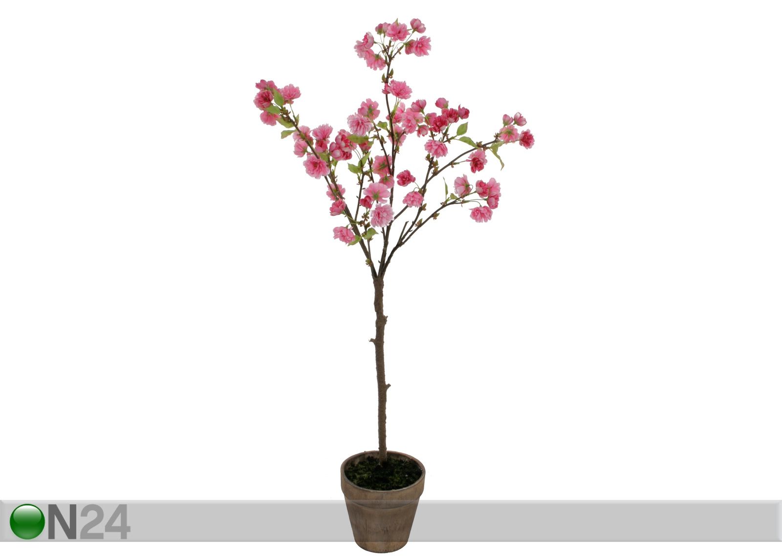 Roosa kirsikkapuu 100 cm kuvasuurennos
