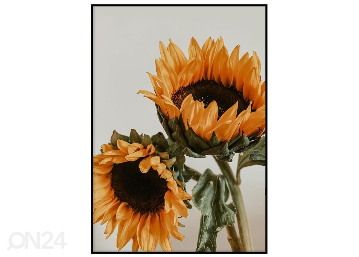 Seinäjuliste Auringonkukat II 70x100 cm kuvasuurennos