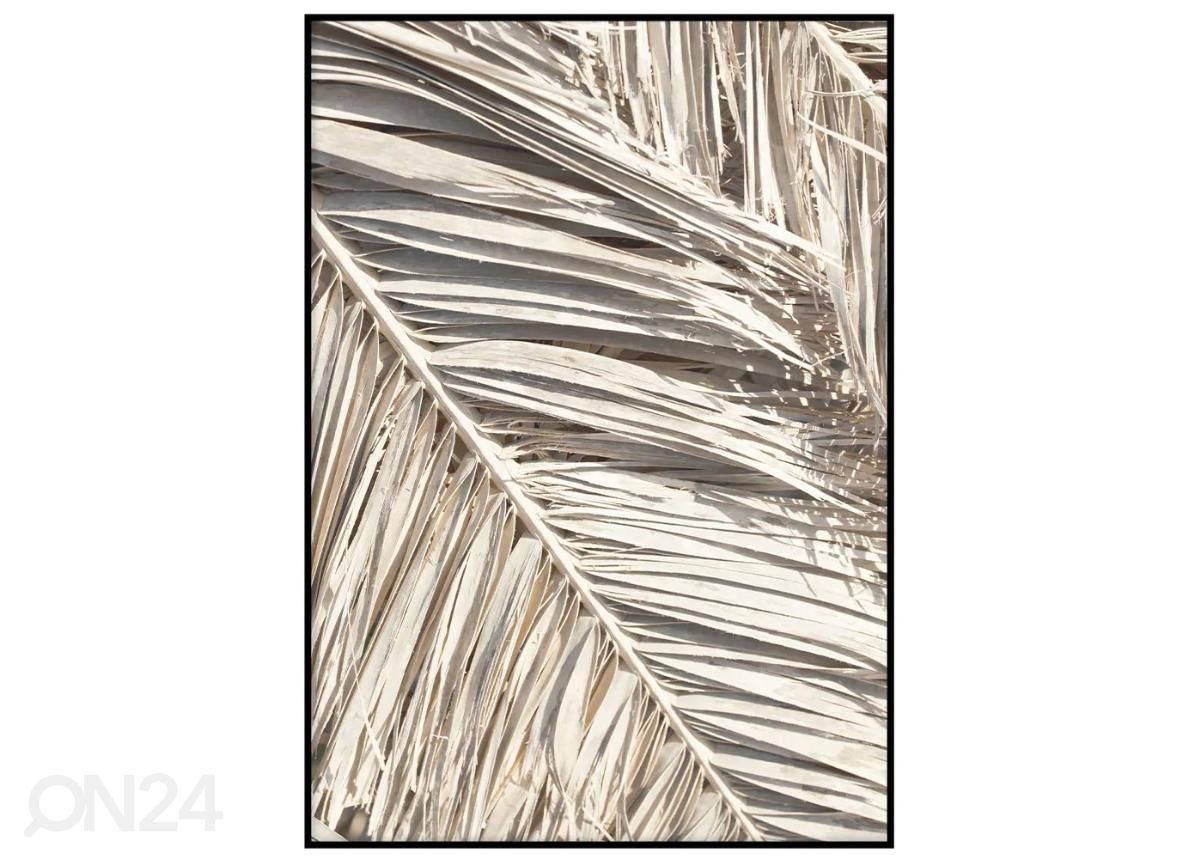 Seinäjuliste Kuivuneet palmunlehdet I 21x30 cm kuvasuurennos