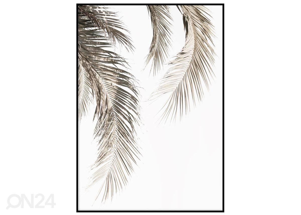 Seinäjuliste Kuivuneet palmunlehdet II 21x30 cm kuvasuurennos