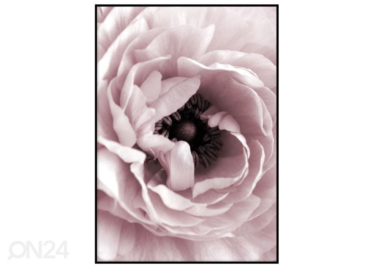 Seinäjuliste Kukka 50x70 cm kuvasuurennos