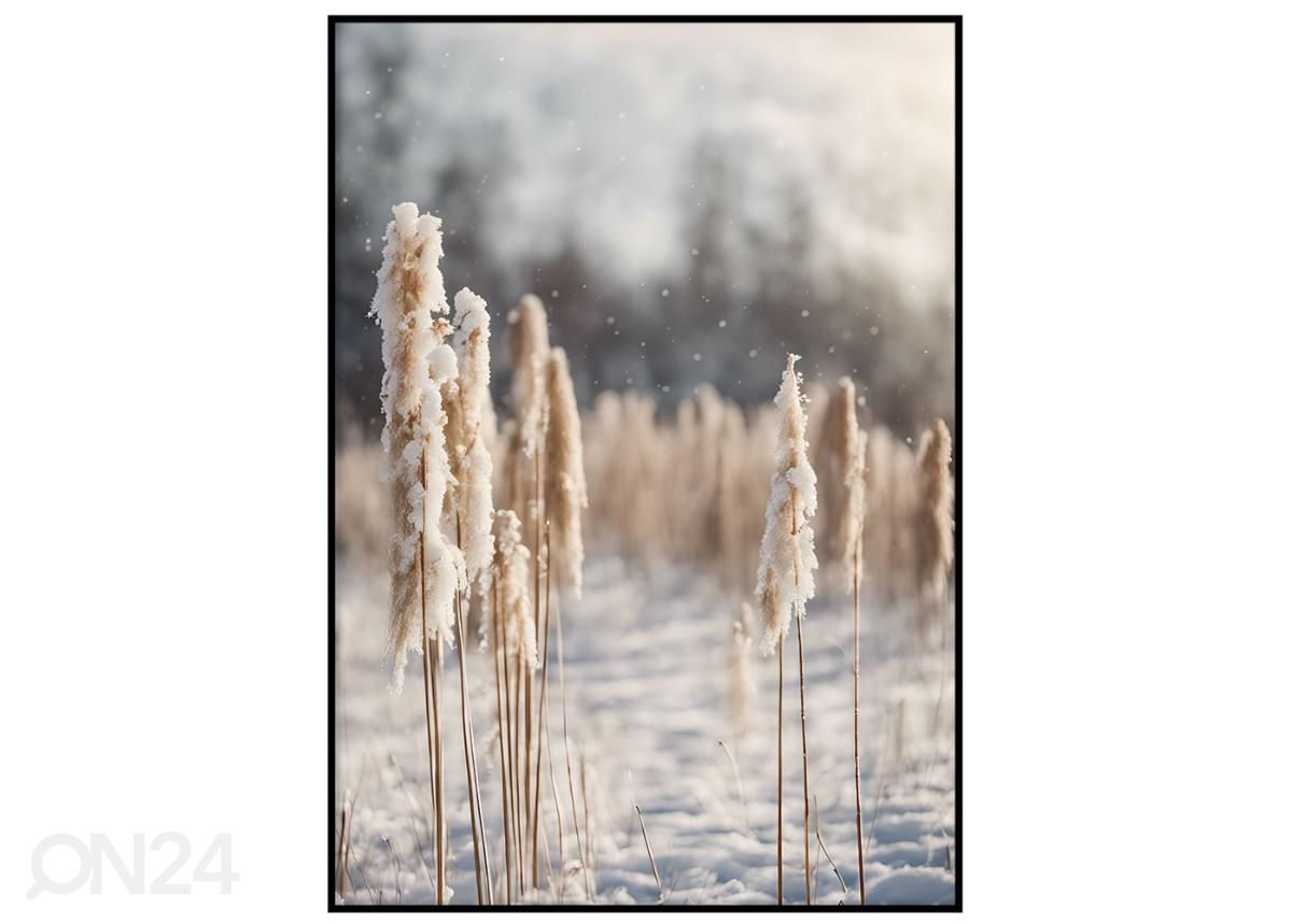 Seinäjuliste Lumiset kaislat I 21x30 cm kuvasuurennos