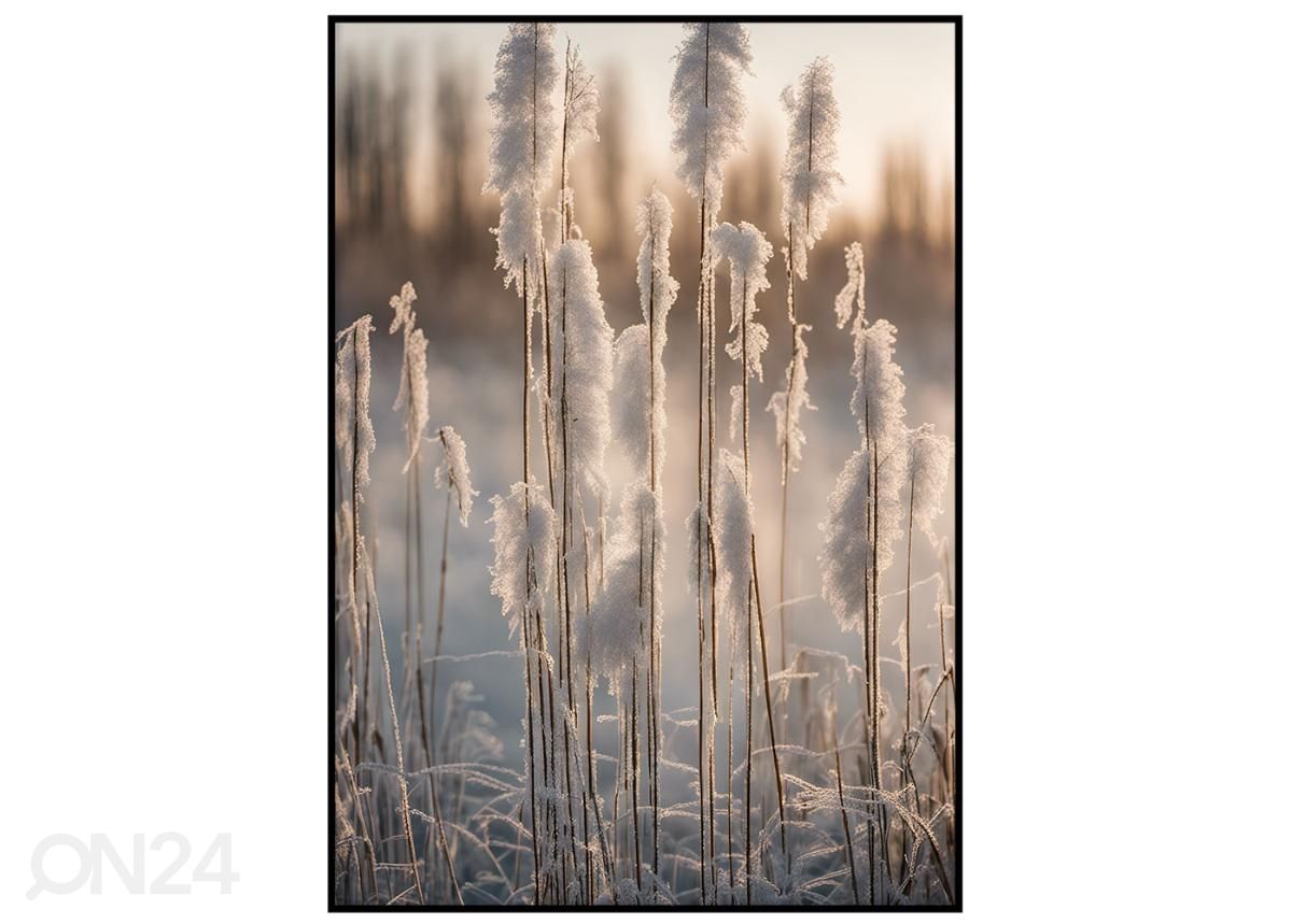 Seinäjuliste Lumiset kaislat II 21x30 cm kuvasuurennos