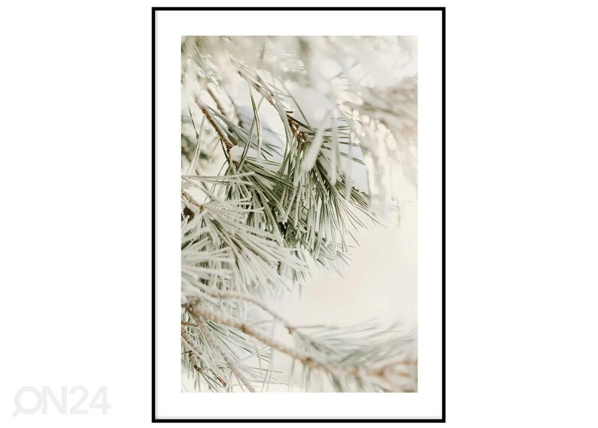 Seinäjuliste Männyt II 40x50 cm kuvasuurennos