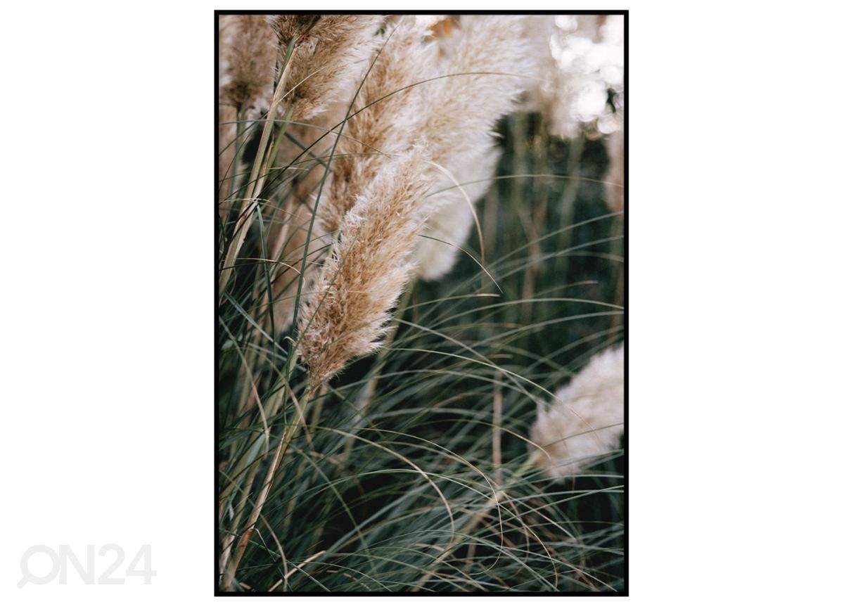 Seinäjuliste Nordic I 21x30 cm kuvasuurennos