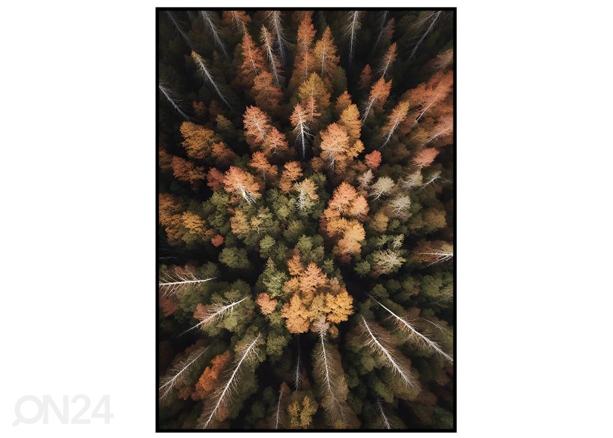 Seinäjuliste Oranssi syksy II 70x100 cm kuvasuurennos