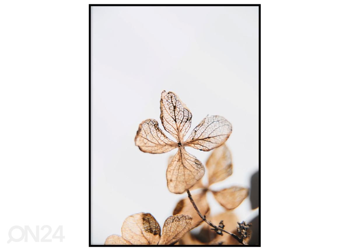 Seinäjuliste Oranssit lehdet II 21x30 cm kuvasuurennos