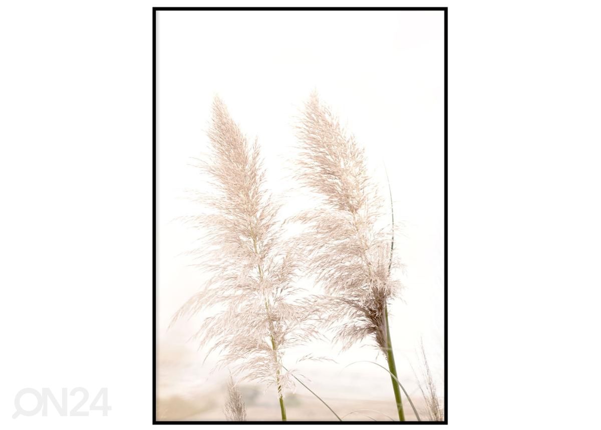 Seinäjuliste Pampas lehdet 21x30 cm kuvasuurennos