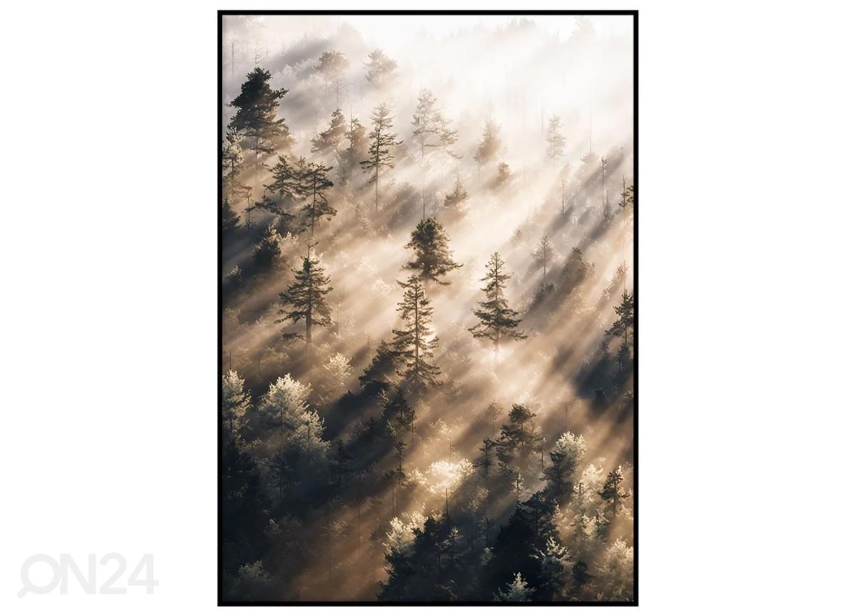 Seinäjuliste Sumuinen metsä 21x30 cm kuvasuurennos