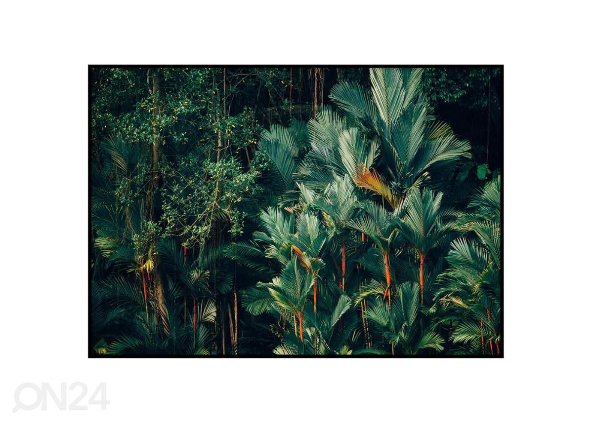 Seinäjuliste Trooppinen sademetsä 50x70 cm kuvasuurennos
