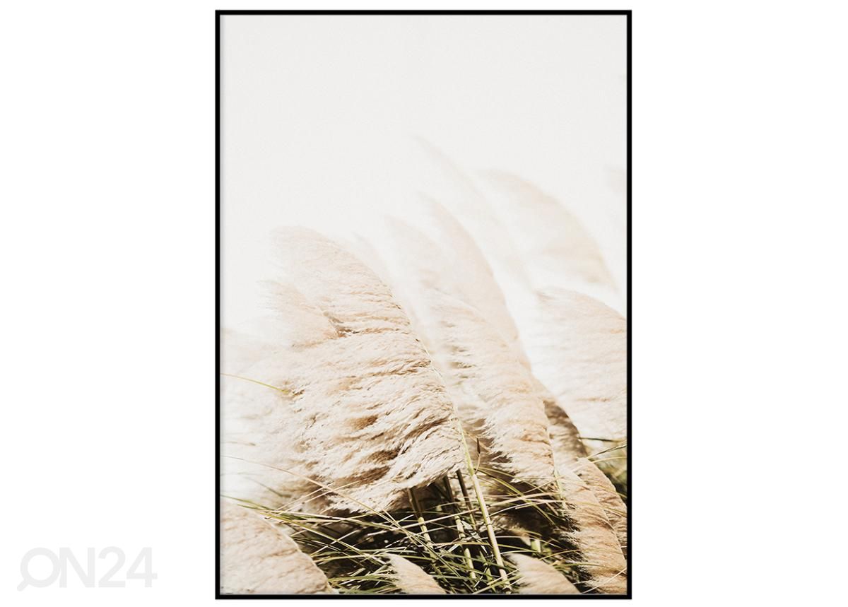 Seinäjuliste Tuulen puhaltama kaisla 21x30 cm kuvasuurennos