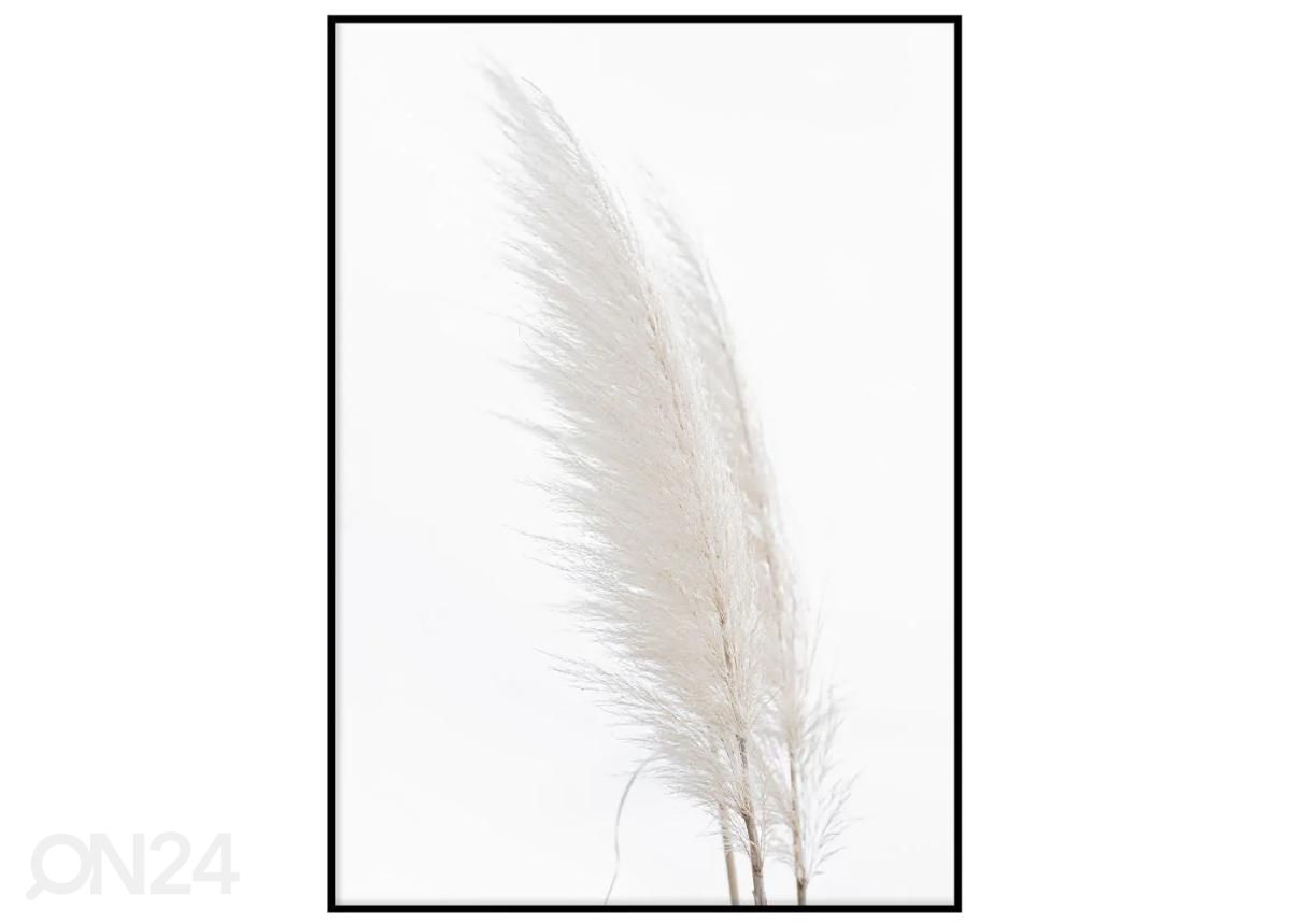 Seinäjuliste Valkoiset höyhenet 70x100 cm kuvasuurennos