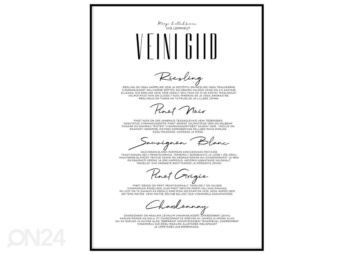 Seinäjuliste Viiniopas 21x30 cm kuvasuurennos