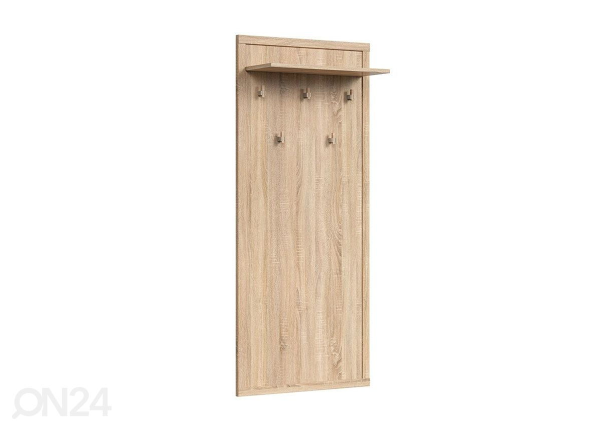 Seinänaulakko kuvasuurennos