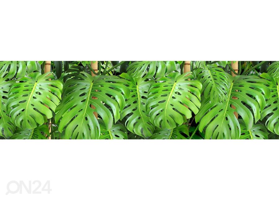 Seinätarra Leaves 14x500 cm kuvasuurennos
