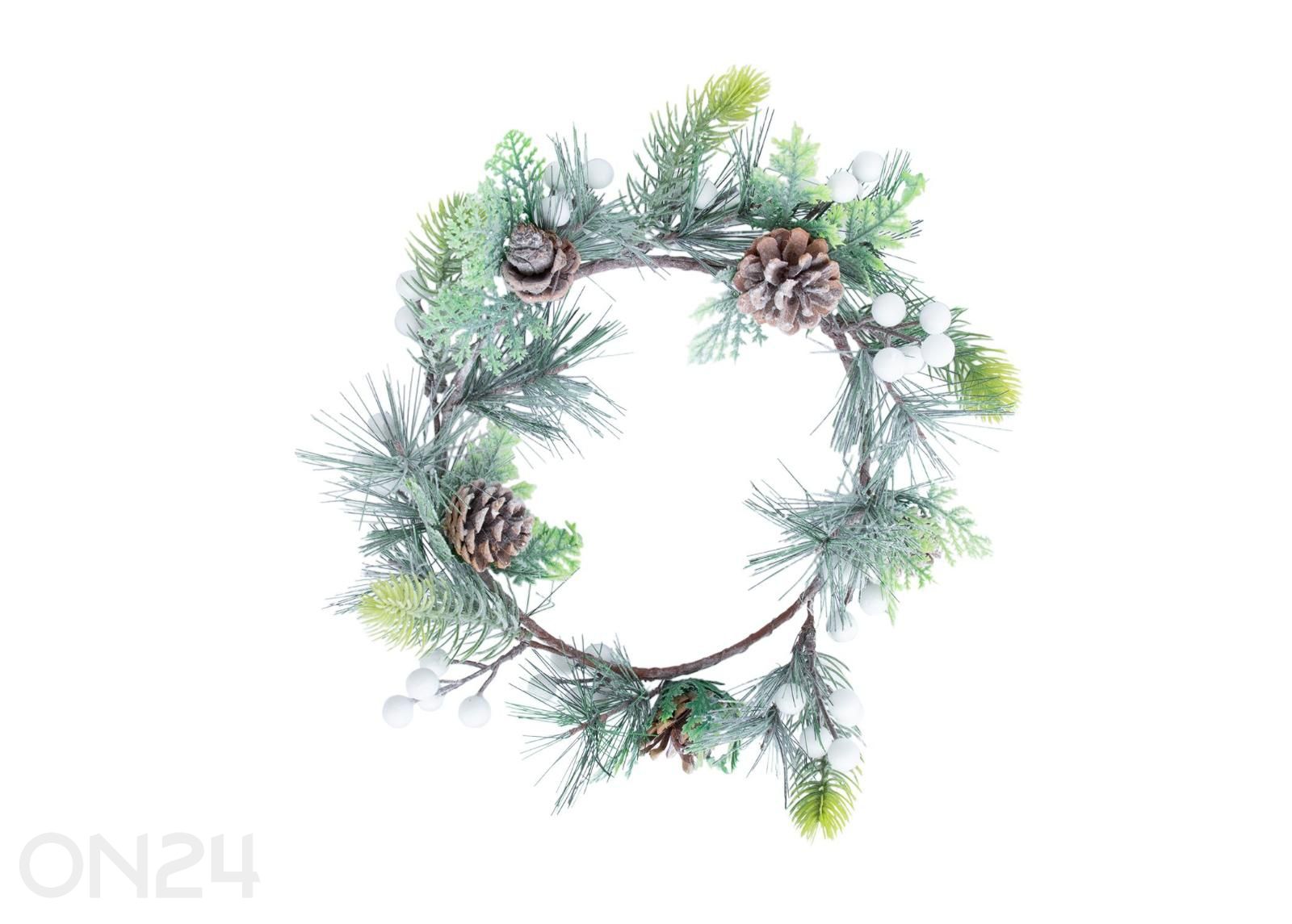 Seppele Greeenland, Ø 20 cm, vaaleanpunaiset kukat kuvasuurennos