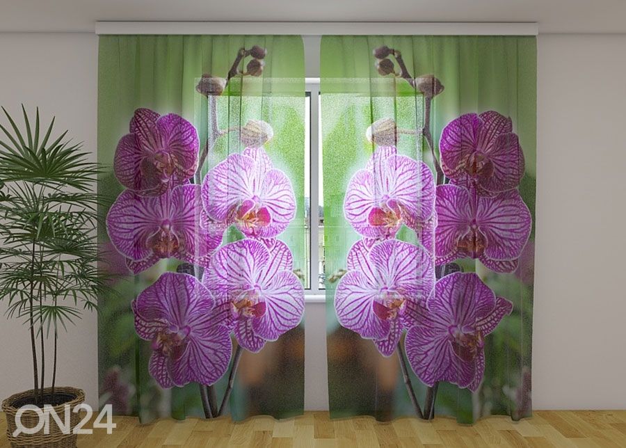 Sifonki-kuvaverho BABYLON ORCHID 240x220 cm kuvasuurennos