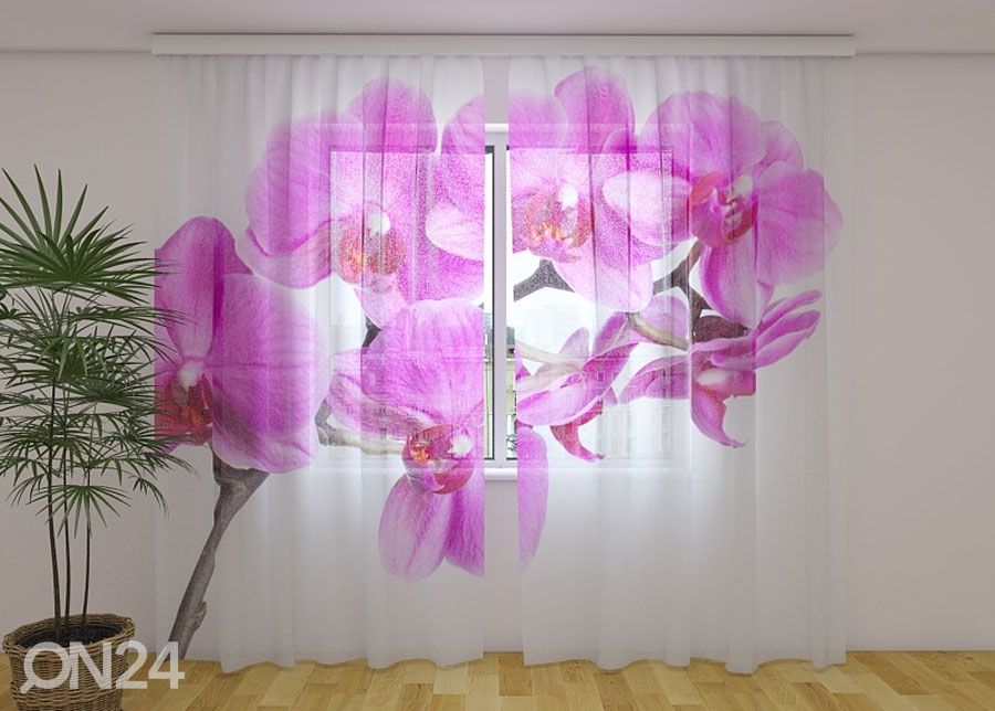 Sifonki-kuvaverho CRIMSON HAPPINESS 240x220 cm kuvasuurennos