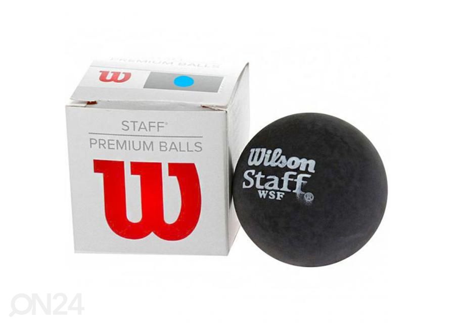 Squashpallo Wilson Staff Ball BL DOT kuvasuurennos