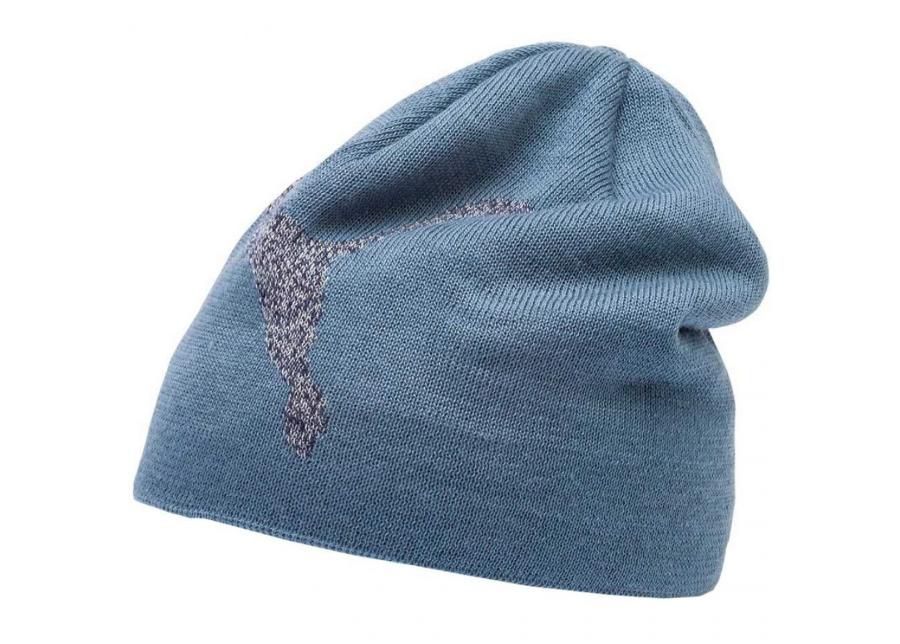Talvipipo Puma Ess Logo Beanie 022330 08 kuvasuurennos