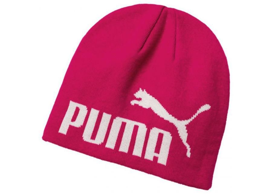 Talvipipo Puma Essential Big Cat Beanie kuvasuurennos