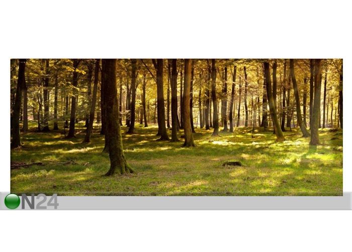Taulu Autumn Forest Panorama 169x70 cm kuvasuurennos