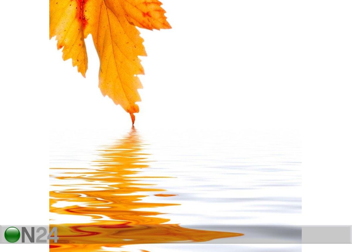 Taulu AUTUMN LEAF REFLECTION 40x40 cm kuvasuurennos