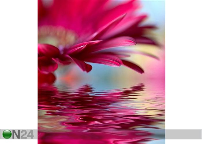 Taulu CLOSEUP OF PINK DAISY 40x45 cm kuvasuurennos