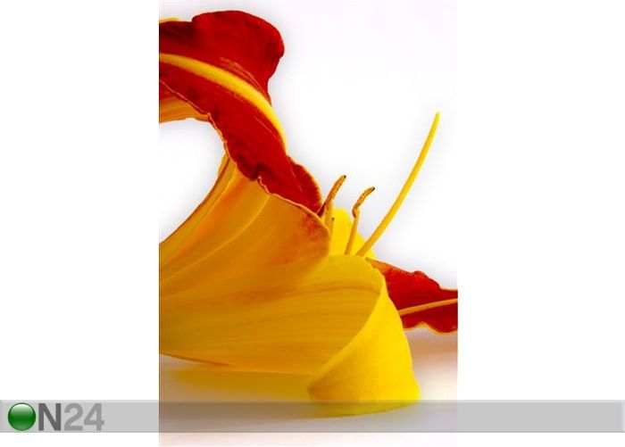 Taulu DAYLILL 90x135 cm kuvasuurennos