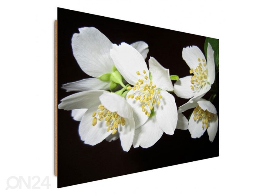 Taulu Flowering trees 30x40 cm kuvasuurennos