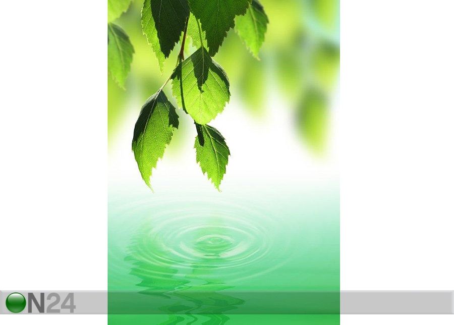 Taulu FRESH GREEN LEAFS OVER WATER 80x112 cm kuvasuurennos